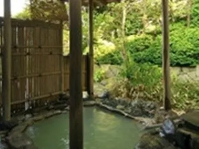 桐谷箱根庄酒店 3*, 箱根 日本